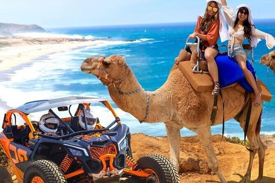 Fun Camel Ride and UTV COMBO with Tequila Tasting!