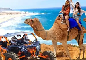 Fun Camel Ride and UTV COMBO with Tequila Tasting!