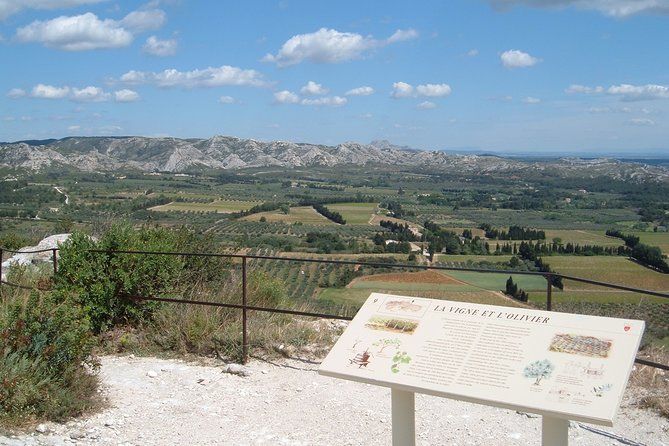Custom Planned Provence Rosé Vineyard Tour with Private Driver