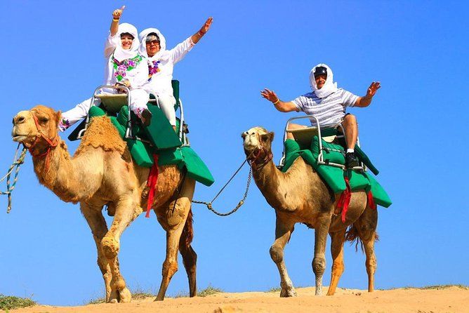 Cabo Camel and Safari Ride