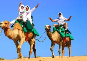 Cabo Camel and Safari Ride