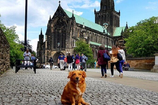 Gander Walking Tours in Glasgow