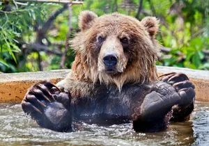 Skip the Line: Kamloops BC Wildlife Park Admission Ticket