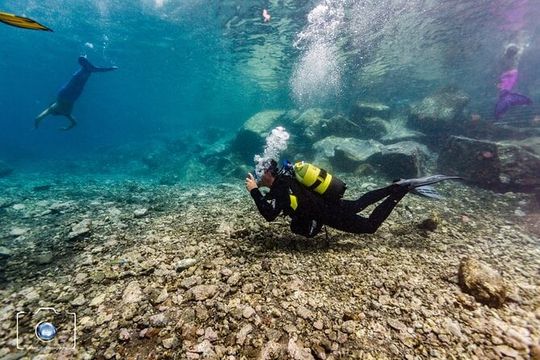 Discover Scuba Diving