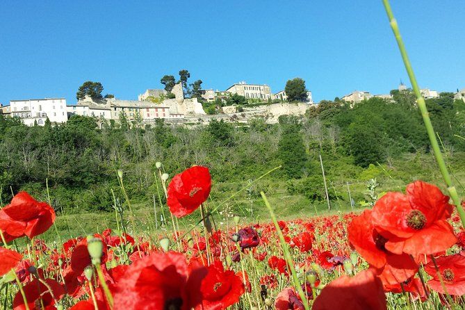 Custom Half-Day Private Tour through Provence