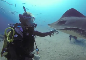 SSI Fish Identification Specialty Course in Tenerife
