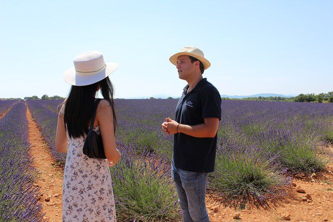 Small Group Marseille Shore Excursion: Lavender Tour