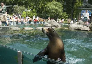 Central Park Zoo and 3hrs Manhattan Walking Tour