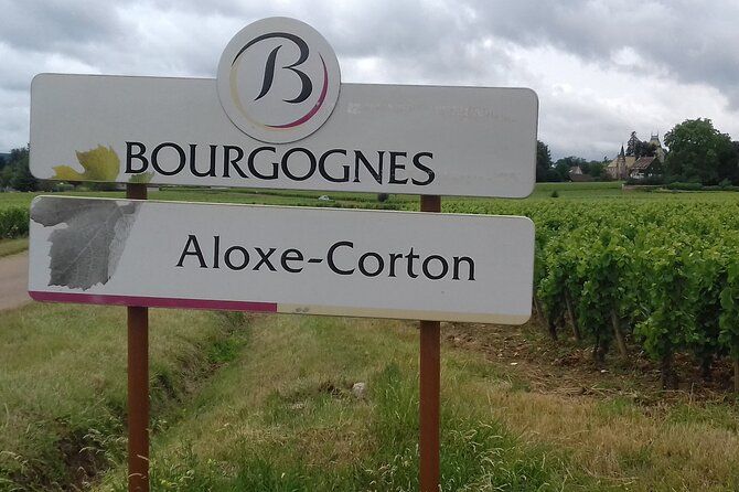 Custom Planned Burgundy Vineyard Tour with Private Driver
