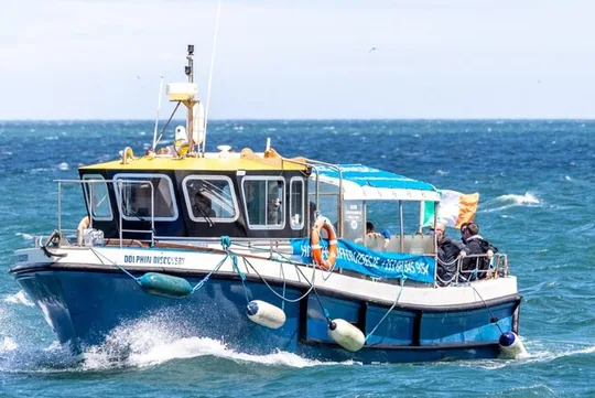 Ireland's Eye and Howth Coastal Boat Tour