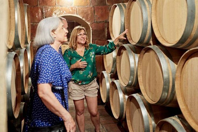 Burgundy wine tour - Private tour with professional tour guide!