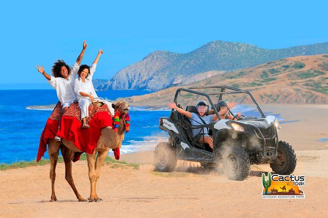 Beach UTV and Camel Ride Combo in Cabo