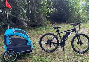 2 hours E-Bike with 2-Child Trailer Kissimmee Lakefront Tour