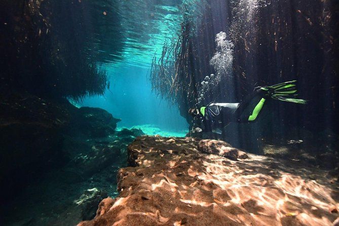 Discover Scuba Diving in Tulum