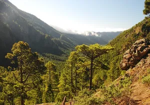 Downtown Route (Price per Vehicle not per person)