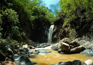 Jungle HorseBack Adventure to Las Palmas Waterfall All Included