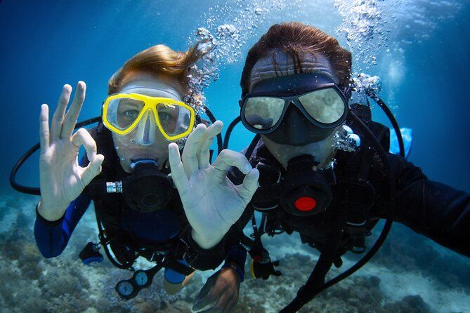 Diving experience in Polignano a Mare with certification