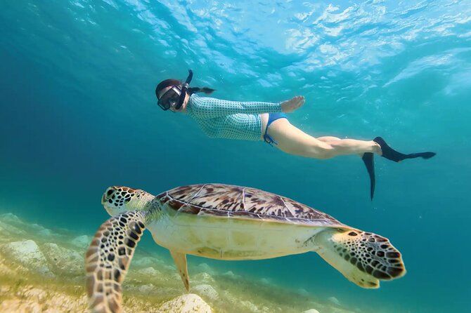 Jungle ATV, Cenote and Snorkel with Sea Turtles Adventure