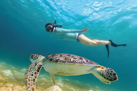 Jungle ATV, Cenote and Snorkel with Sea Turtles Adventure