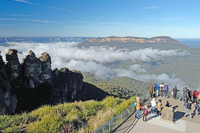 Blue Mountains | Koalas, Kangaroos & Bondi Beach Private Tour