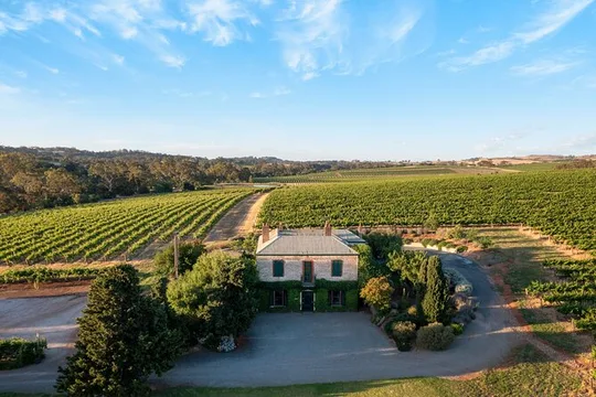 The Florita Wine Tasting Experience