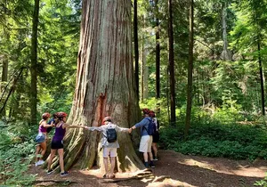 Vancouver Stanley Park 3 Hour Bike Tour