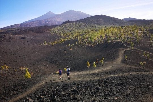 Masca - Garachico - Icod - Teide National Park