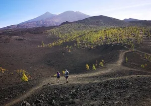 Masca - Garachico - Icod - Teide National Park