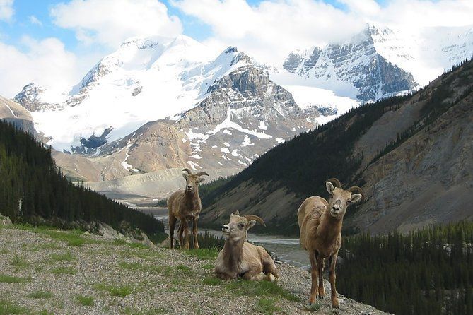 Private Tour: Majestic Mountains PHOTO SAFARI Drive - 4H