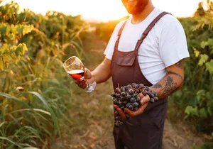 Day Trip; Grass, Gourdon and Wine Tasting