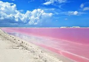 Gorgeous Natural Pink Lake, Las Coloradas Tour! From Cancun & Riviera Maya