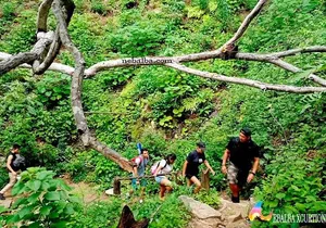 Trekking Colomitos - Madagascar