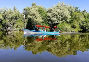 Lagoon Adventure: Jungle, Turtle Release & Cliff Diving Spectacle