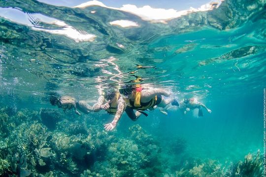 Speed Boat Tour in Cancun