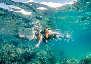 Speed Boat Tour and Snorkel Cancun