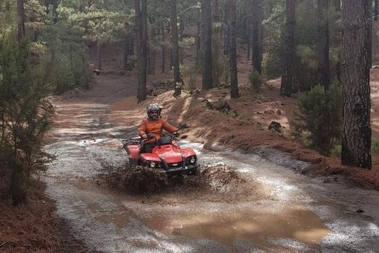 Quad adventure Forestal