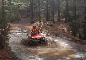 Quad adventure Forestal