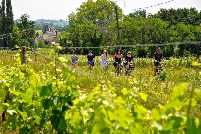 "Explore Saint-Émilion on e-Bikes: Small Group, half-Day Tour"