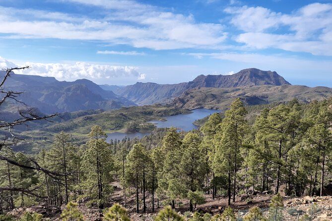 Hiking experience in the north of Gran Canaria