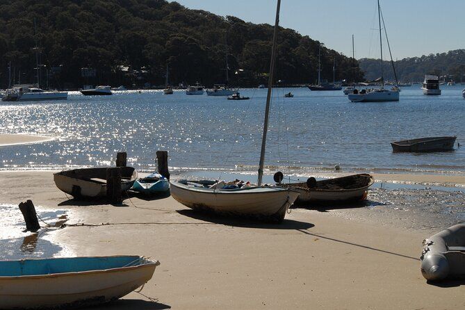 Sydney's Northern Beaches - Paradise in a city Private Day Tour