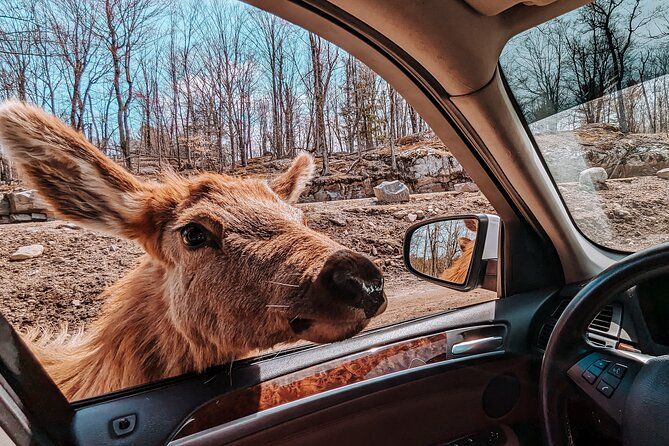 Ottawa Parc Omega Private Tour with Hotel Transfer