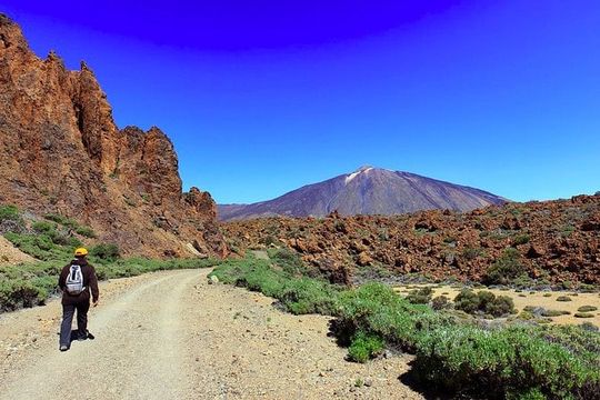 Private Full Day Tour to the Top of the Teide: go hiking and return in cable car