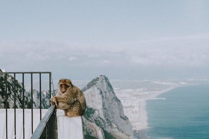 Full-Day Private Tour from Seville to Gibraltar