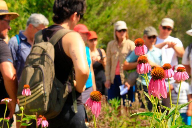Aromatic Experience in the Medicinal Garden in Ibiza