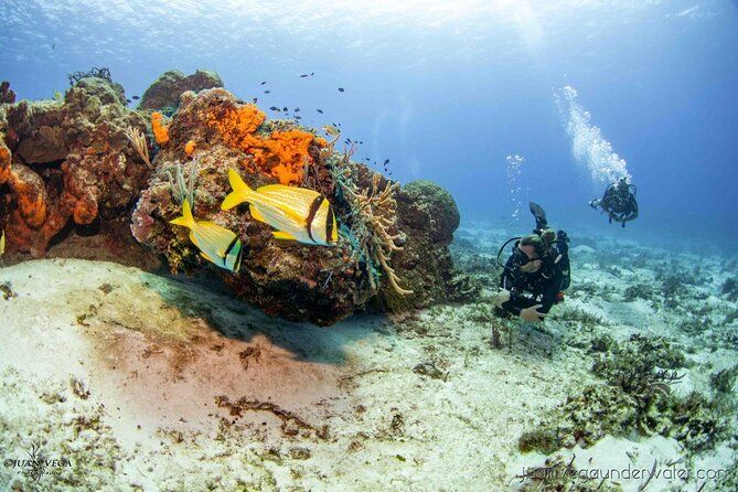 2 Tank Cozumel Reef Boat Dives