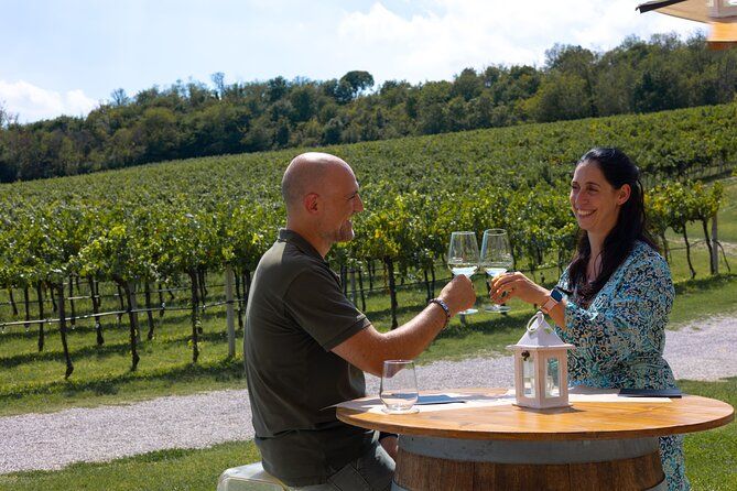 DA Padova: Wine tour in the Euganean Hills
