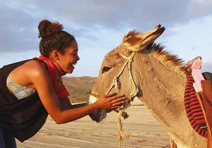 Sunset Pacific Donkey Hiking Tour