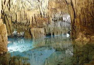 Cenotes and Paradise Lagoon