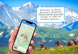 Tunnel Mountain Trail: a Smartphone Audio Nature Tour