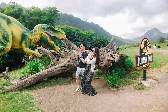 Private One way Transfer Waikiki Hotel and Kualoa Ranch